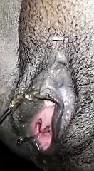 Jenii