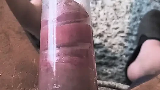 Çok büyük yarak Gloucester yarak