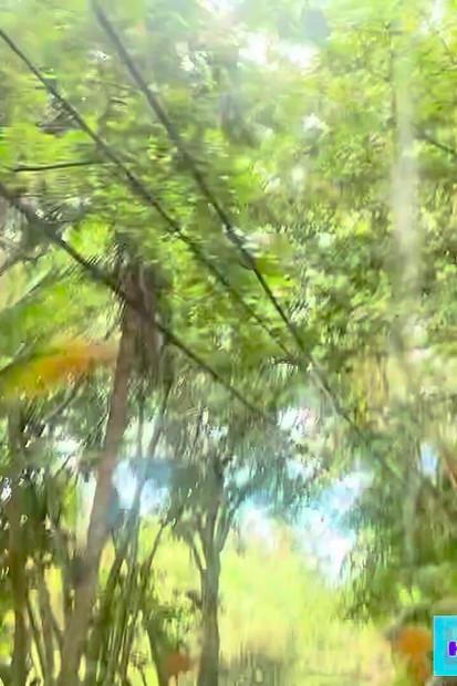 Sfw putovanje u Hanu za Suzy Wylde u Waimoku Falls, Maui