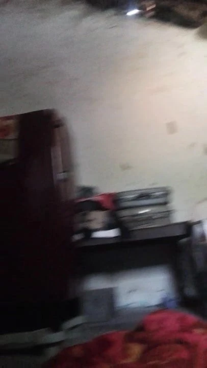 desi