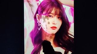 Cum homenaje - ahin (momoland)