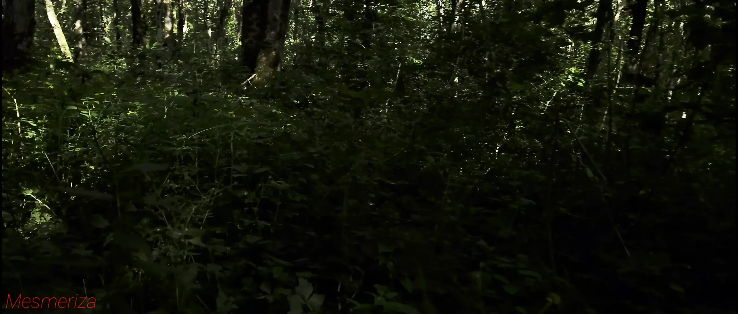 trailer Mesmeriza 23 03 MOV CINEMA CLIP 322 20240814144714515