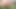Indian Lucknow amature boy cumshot in the outdoor jungle full hd Hindi sex video