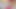 6 inch Cock MASTURBATION in the EVENING