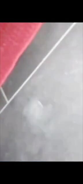 कमशॉट संकलन