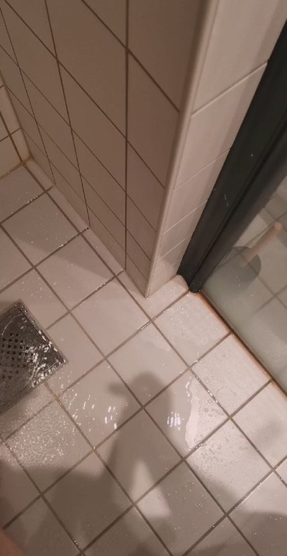 Shower dick