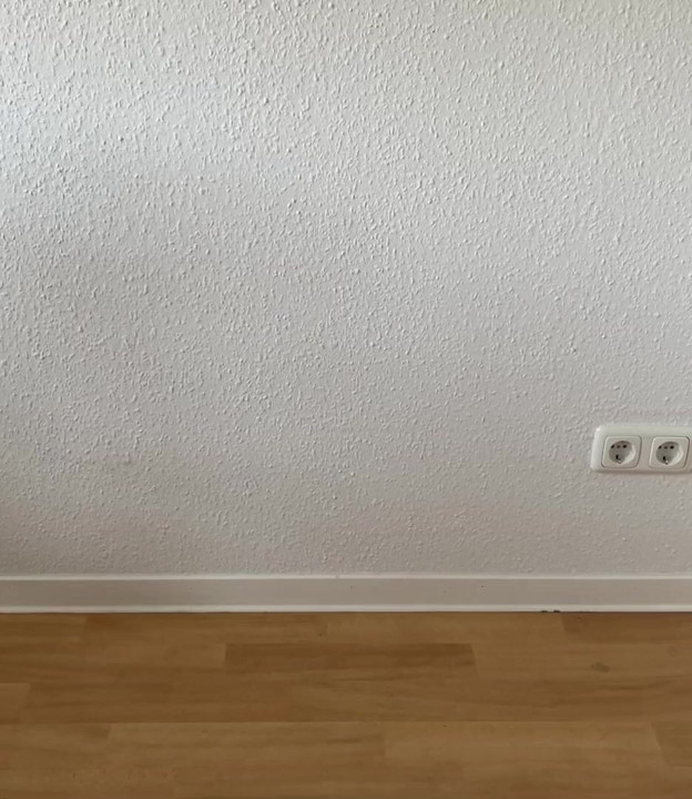 Plug