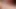 Closeup Sucking his fantastic big Cock