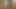 Penis ağır çekimde kediden çıkıyor