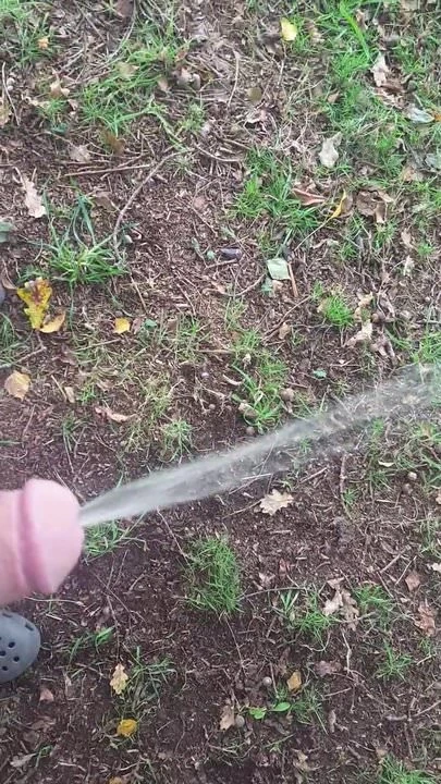 Me adargoma en el campo