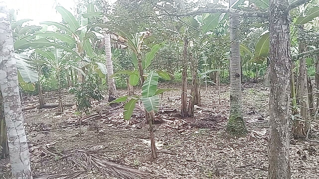 NATURE JERKING