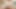BaDoinkVR.com Virtual Reality POV ANAL Compilation Part 1