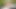 Sex-Prinzessin Natalia Starr wird in den Hals gefickt und vollgespritzt!