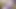 Huge Dick Masturbation