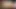 Bi Cum Addicts 7 chicks with dicks self facial cum kiss comp