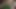 Öffentliche sperma-zusammenstellung