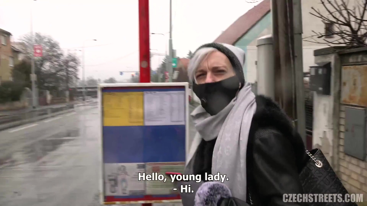 チェコの街 - 家庭のクソ星座