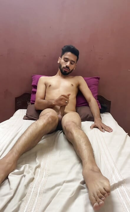 Lahore Bull service available in lahore