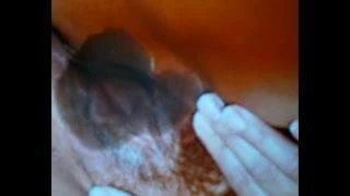 Tribute Clip for Swifelick