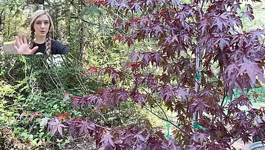 Bitkilerimi İçeri Taşıyorum