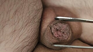 Small cuckold male cunt