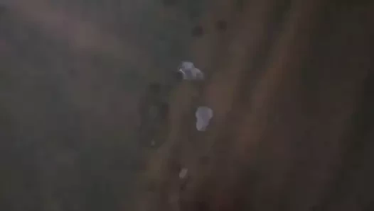 cumming sert