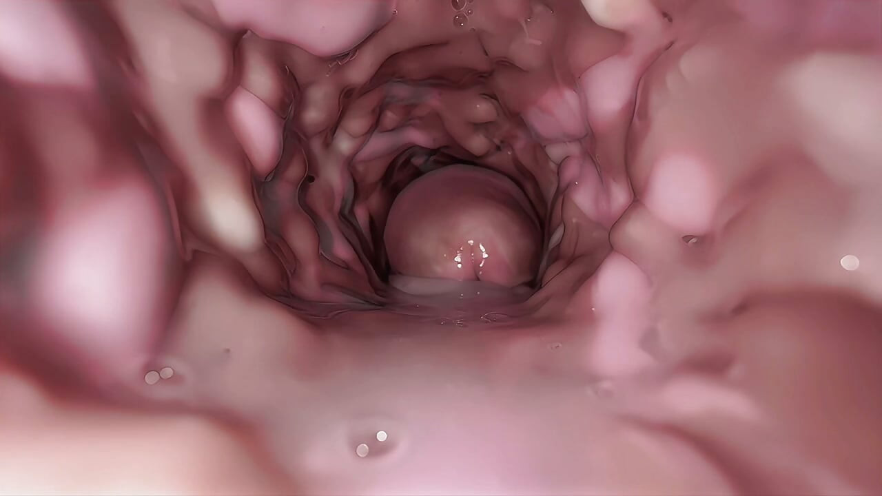 This is exactly what your first time having sex will look like! From the outside and from the inside!