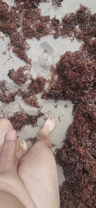 Pantai bogel