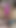 夫は太いチンポを濡れた膣の中に全部入れたくないって言ってる...レースだけが本当にイライラする