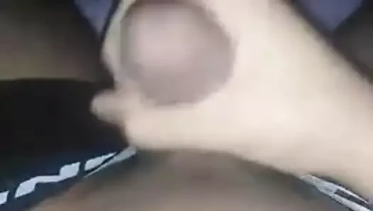 Mısır aslanı Mastürbasyon