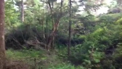 Outdoor jerk and cum