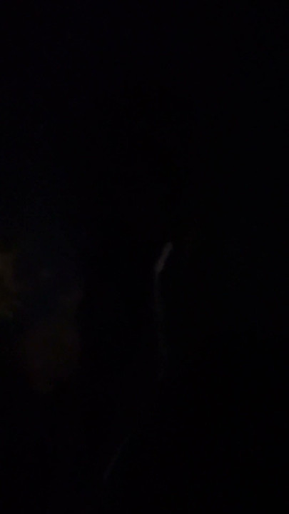 Me Bored Asf Doing Dumb Ass Shit | Clip 1