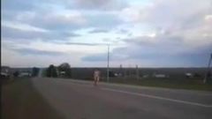 naked woman on the road