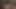 Step Mom show her pussy