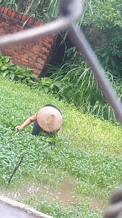 Huong big ass 2