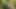 Tante seksi rambut pirang menggoda pebisnis di hutan... Entot aku habis-habisan!