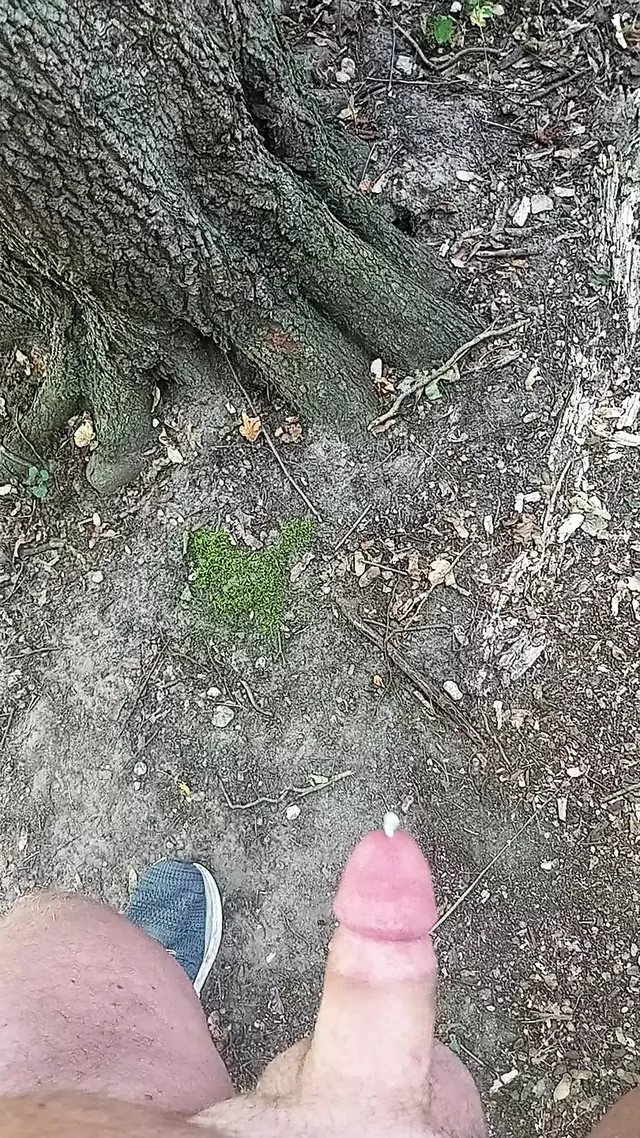 Wank in public
