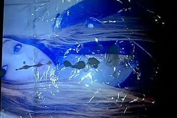 Lauriaaへのトリビュート