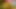 Shemales bertato lagi asik seks anal bareng gadis hot bertato di seks threesome sampai lubangnya menganga lebar - atm & facial