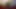 Vid1