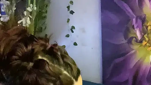 Good till the last drop