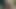 December 27 cumshot foreskin video
