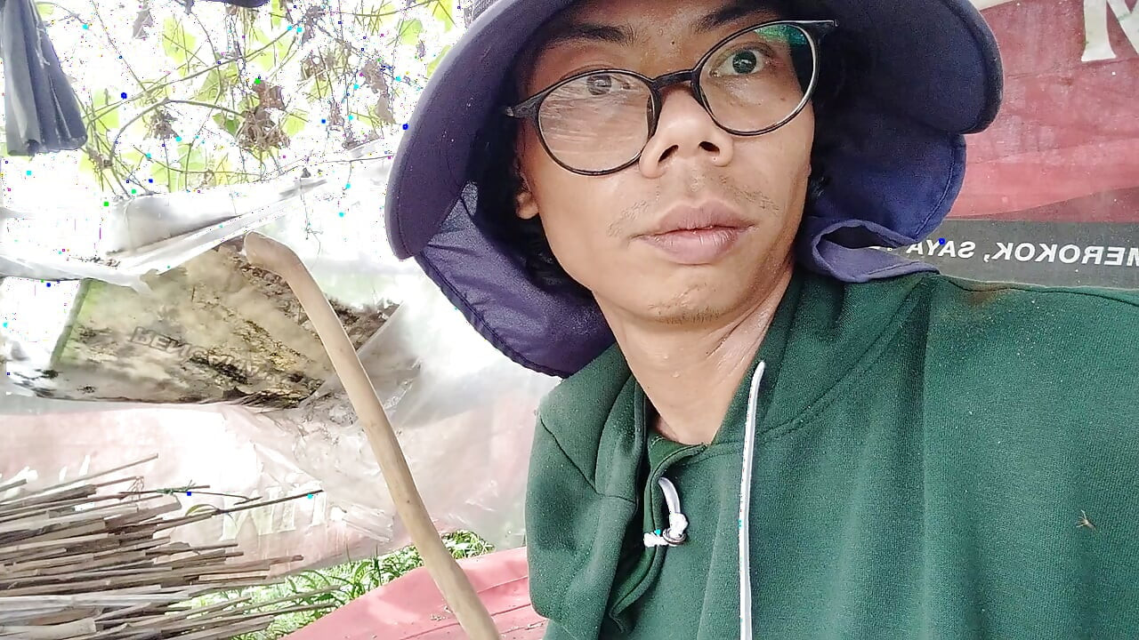 The youth themselves in the tea garden are still cultivating