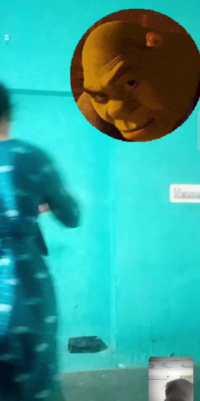 Show ass video call