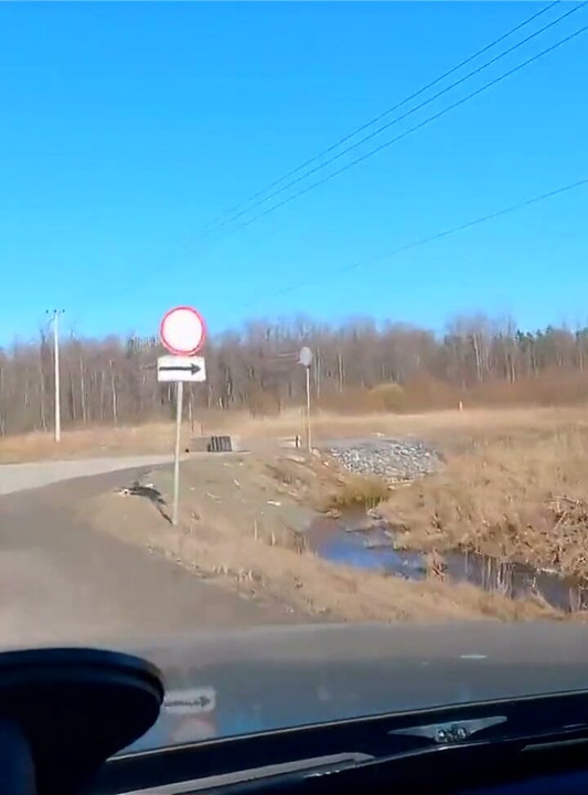 Real Russian Teenager Hitchhiker Girl Agreed to Make Deepthroat Blowjob Stranger for Cash and Swallowed Cum - Mihanika69 and Mic