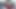 すべて自然なキューティー・バーズ、すべて公共の場で