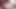 Desi Indian wife husband hard anal sex Cream pai sex videos Desi Indian wife ki full gand ki chudai
