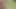 Priya Anand sex video