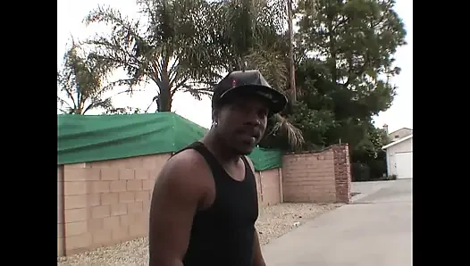 Der Fuchs Frisst Alles (teil 3)