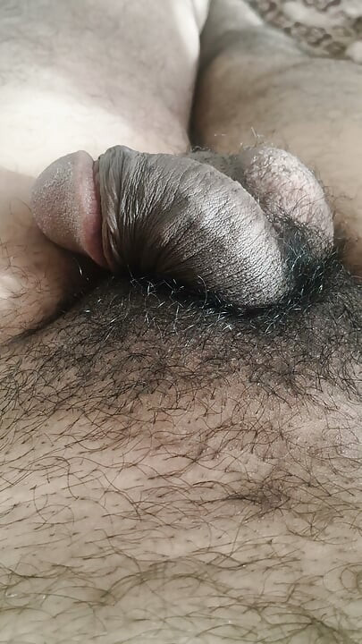 Good boy enjoying